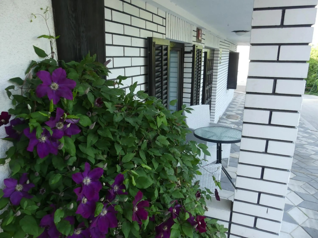 Apartmaji Baron