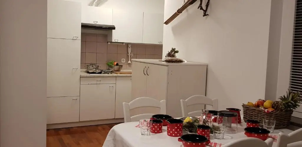 Apartments Vijolica on the ski slope with free parking