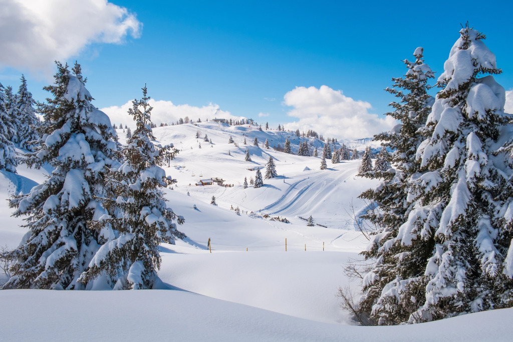 Chalet Anelie