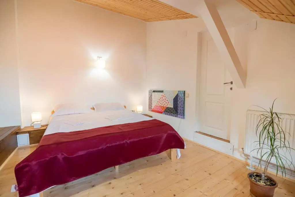 Bed&Wood in Center of Oradea 1