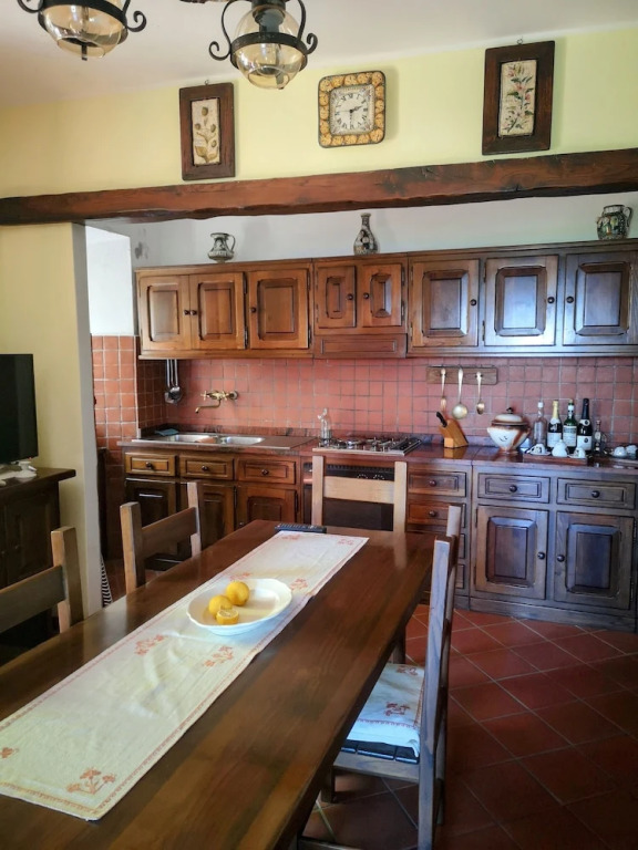 Holiday Apartment Ulivella Tuscany Garfagnana