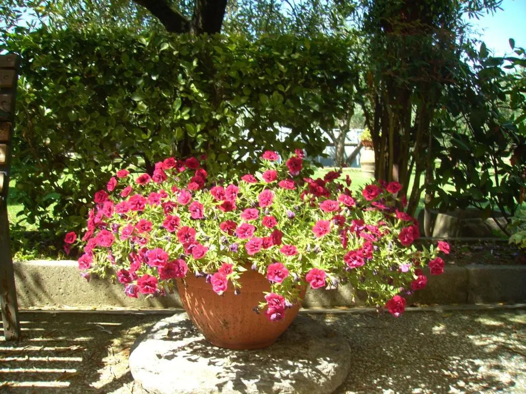 Tenuta Fagnani