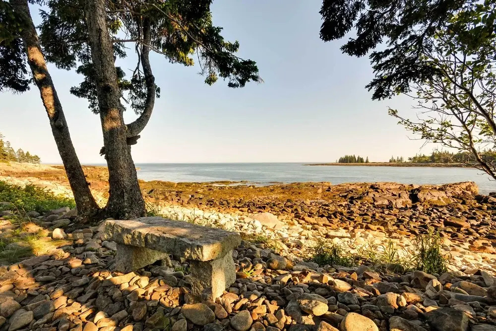 Waterfront Prospect Harbor Cottage: Yard, Fire Pit