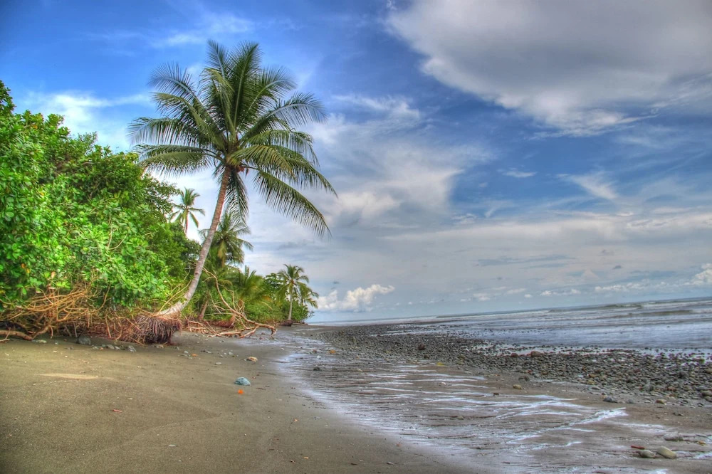 Pacheco Tours & Cabinas