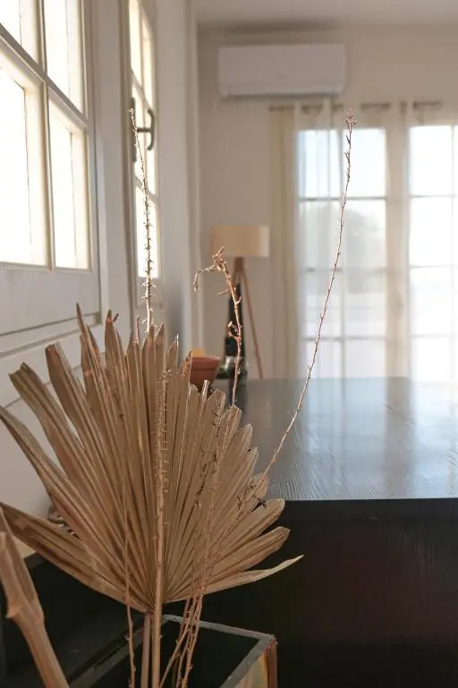 Beachlife: The Apartment