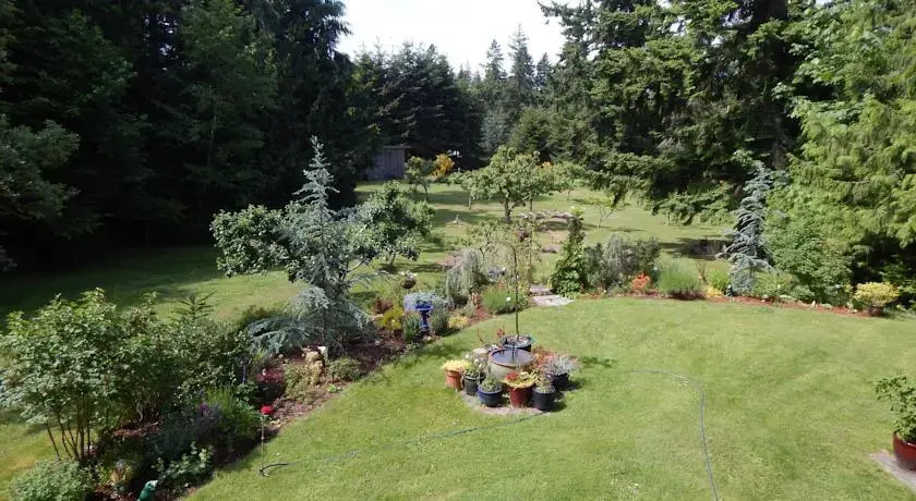 Green Cat Guest House