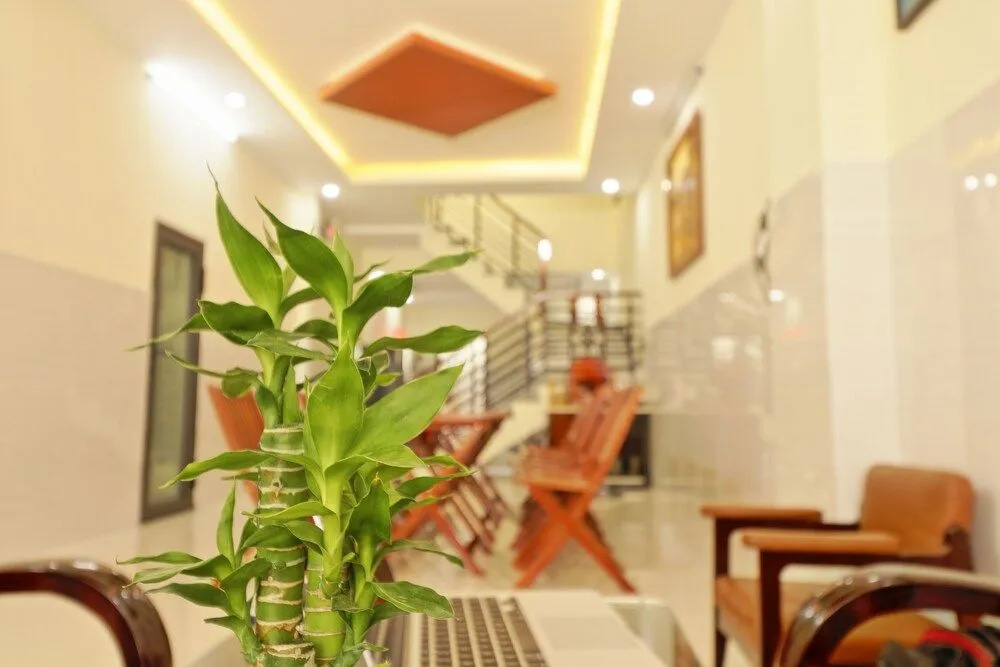 Gold Stone Hoi An Homestay