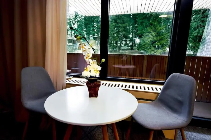 Studio style Kokhta-Mitarbi Apartment in Bakuriani