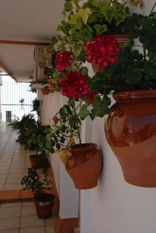 Hostal Puerto Lepe