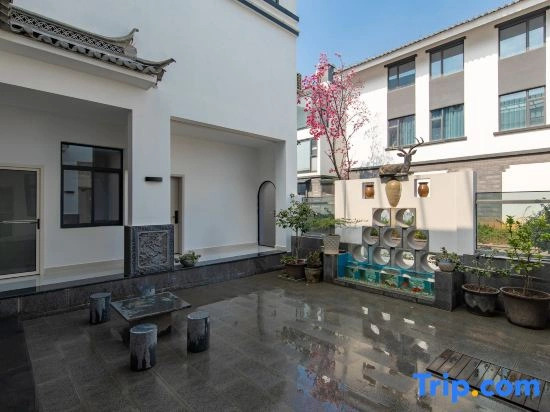 Senyu Baidiao Art Mountain View Homestay