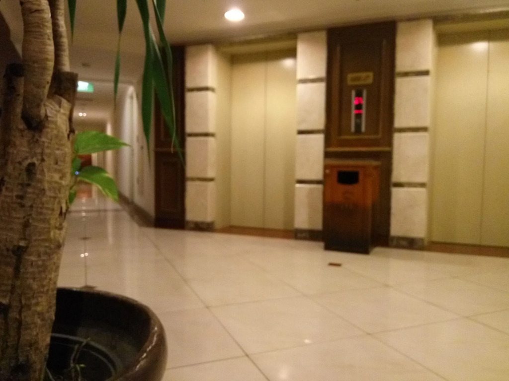 The Majesty Business and Family Hotel