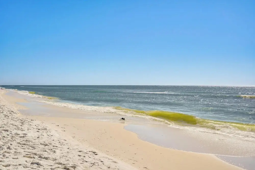 Walk to Shore: Ocean View Cape San Blas Townhome