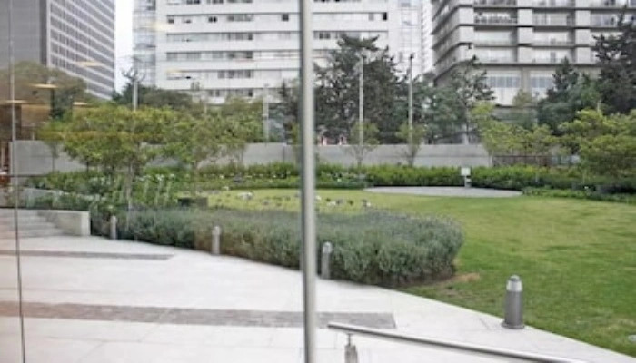 Super Suite Pool & Gym Polanco Area