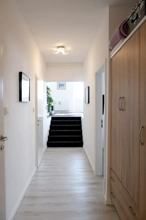 Luxury Main Square Apartments