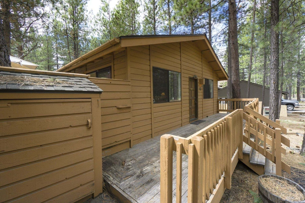 Timber 12
