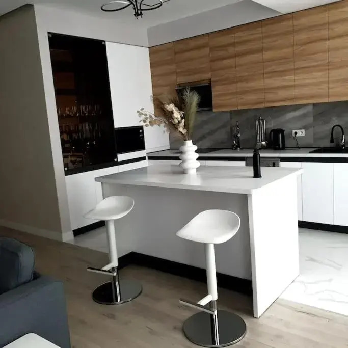 Lovely 1-bedroom rental unit in downtown