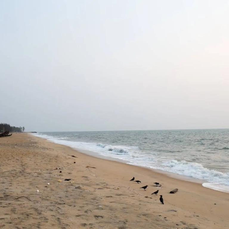 Kuzhupilly Beach House