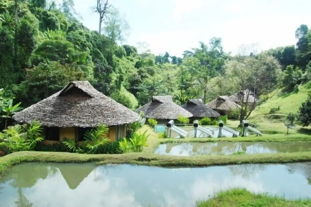 Tad Placamp Healing Retreat