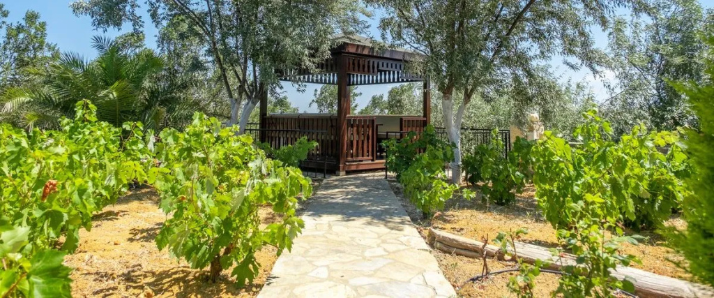 Korukcu Villalari Papazbahce (karadut)