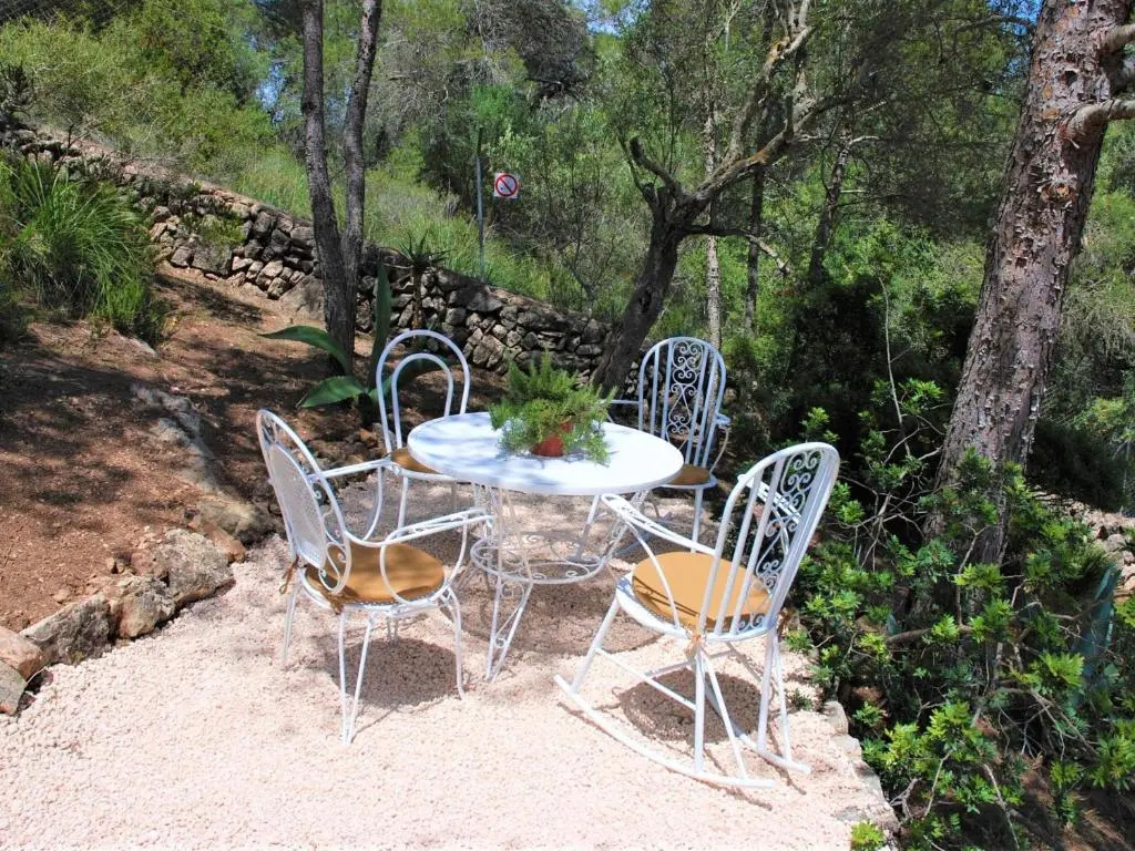 Puig de sa figuera