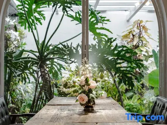 THEPLANTS Aesthetics Homestay.