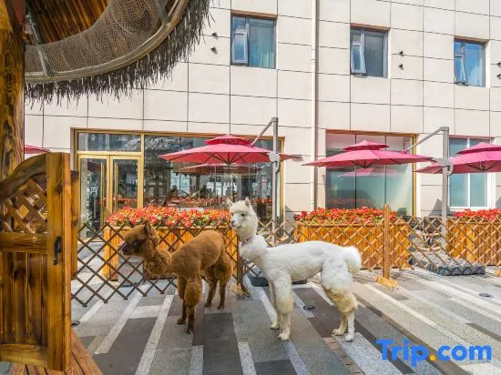 Voyage International Hotel