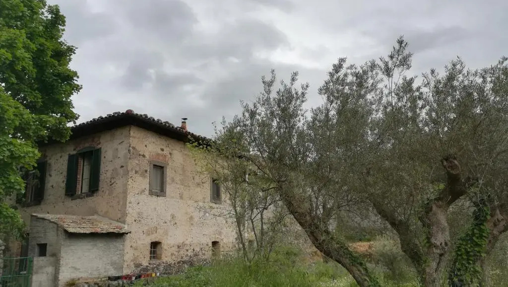 POGGIO ROSETO