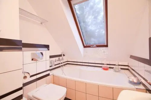 Villa Alina Medical SPA
