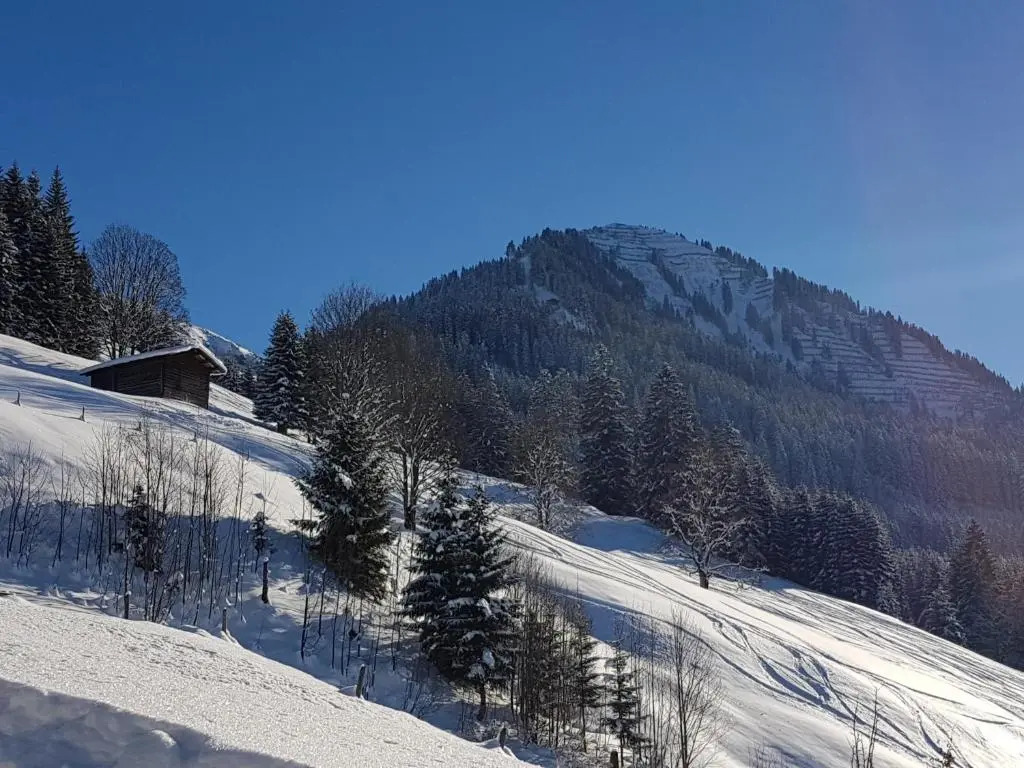 Haus Alpenglück