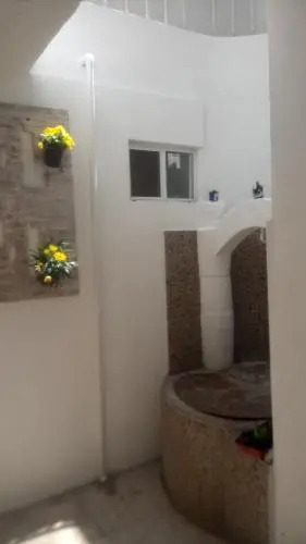 Puebla Purpura
