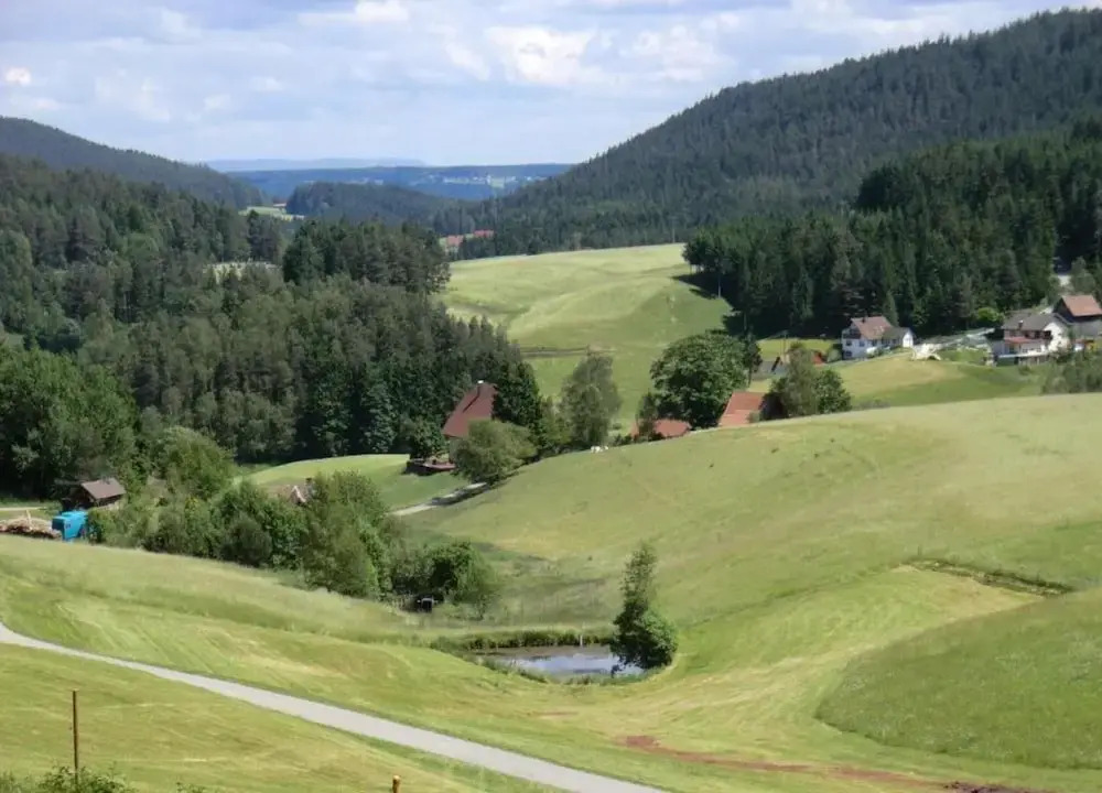 Ferienwohnung in Lauterbach im Schwarzwald