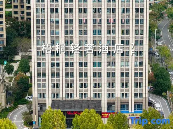 Wutong light luxury hotel (Yueyang high-speed rail station)