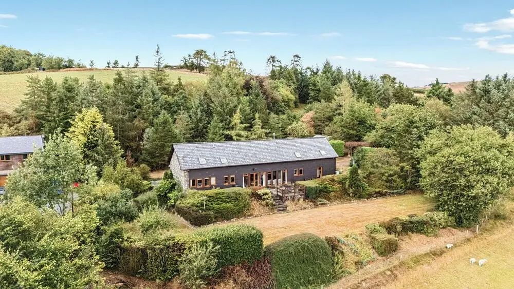 Great Owl Lodge