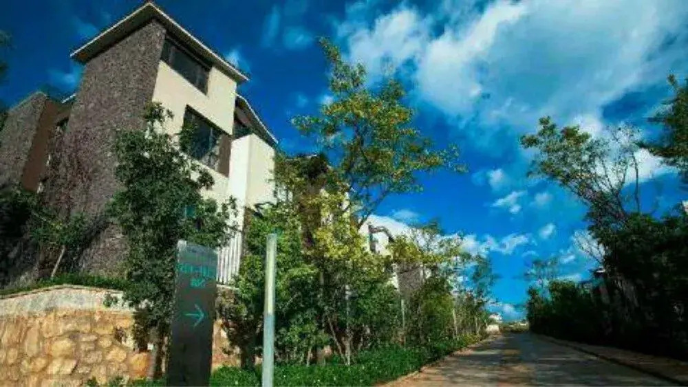 Dali Really Good Yard Villa