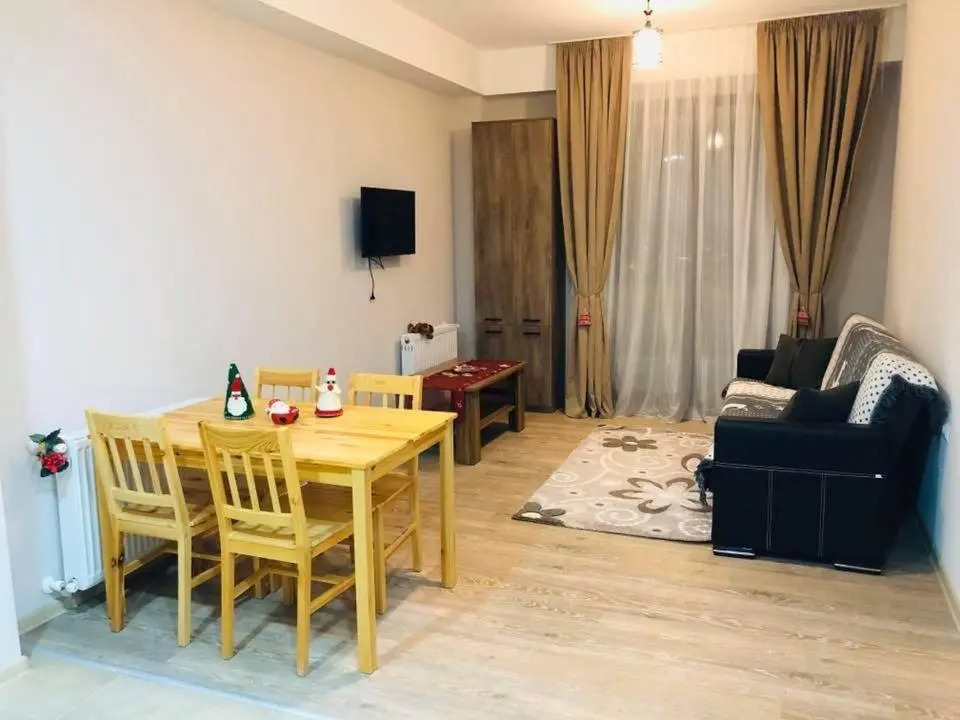 Bakuriani Plaza 503 B