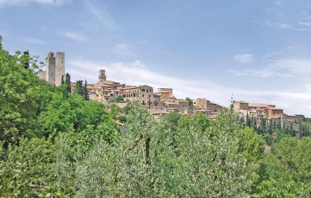 Zafferano 3