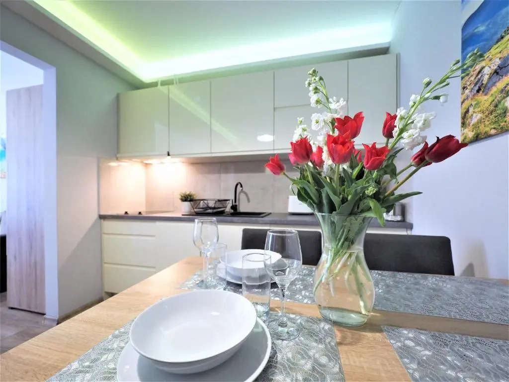 VIP Apartamenty Centrum