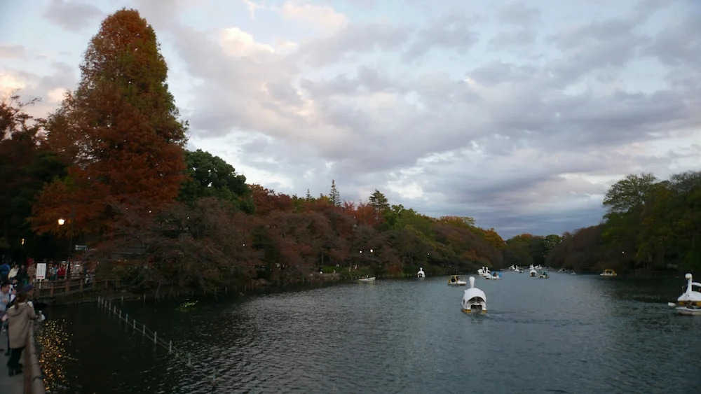 Tsuru 201