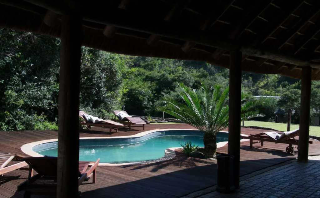 Premier Resort Mpongo Private Game Reserve