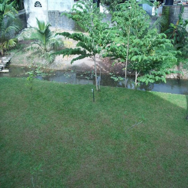 Sunrise Palace Negombo