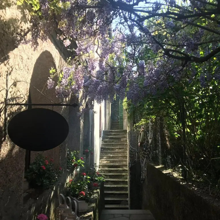 THE SECRET GARDEN ARONA VILLA in Piazza del Popolo 16 Historical Center