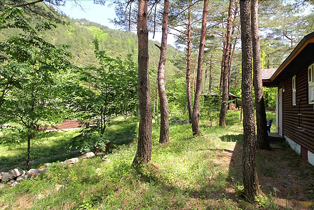 Yangyang Forest Home Pension