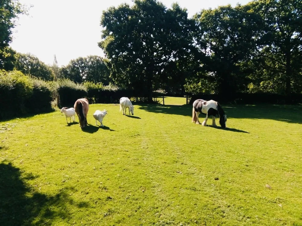 Acorns Barn