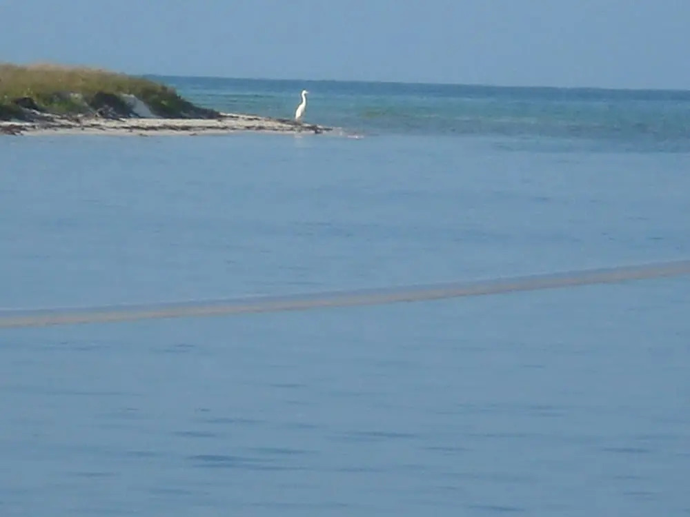 Key West Sailing Adventure