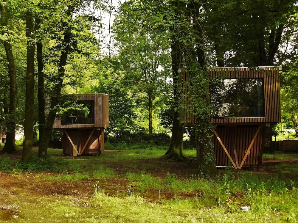 Létape en forêt