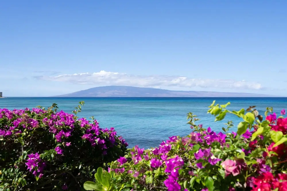Kuleana 613 1 Bdrm 1 Bedroom Condo by RedAwning