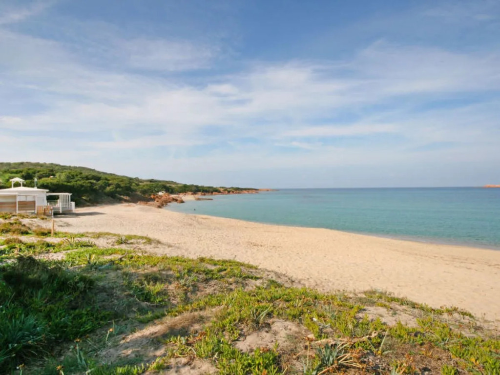 Apartment Palme Isola Rossa 14733