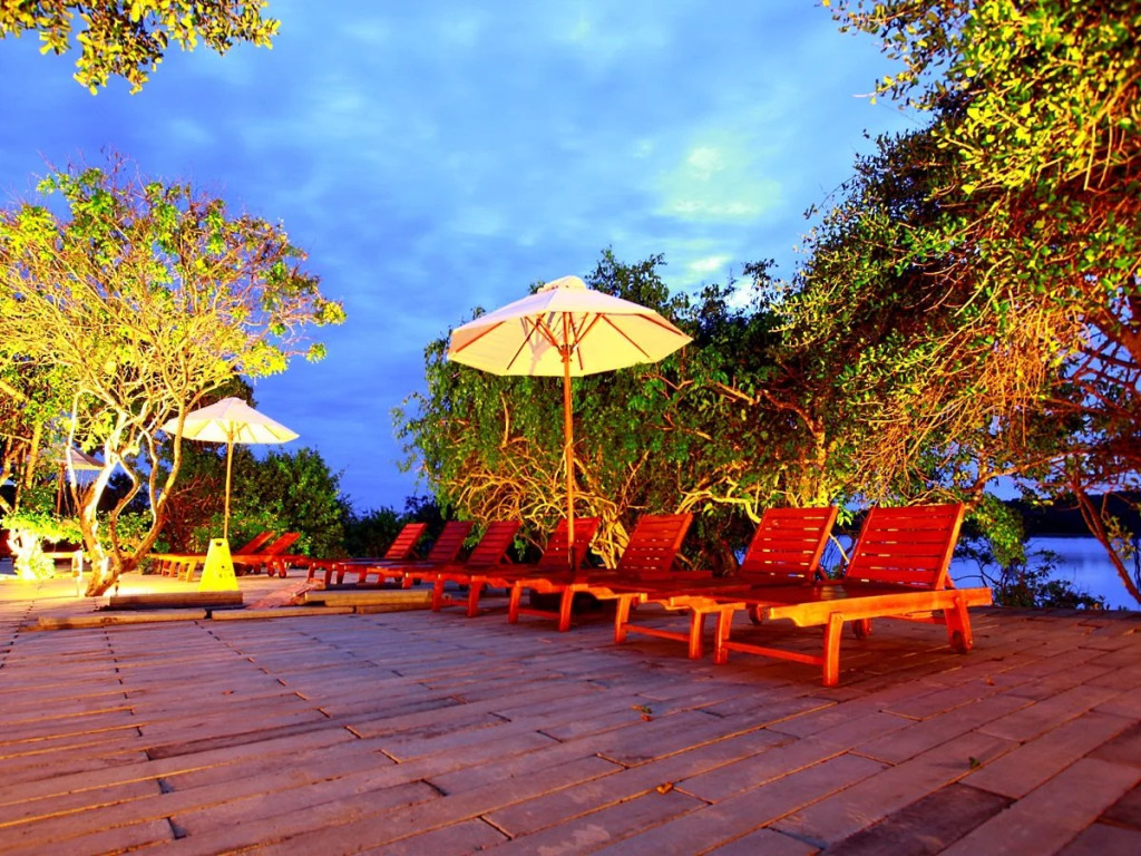 Cinnamon Wild Yala