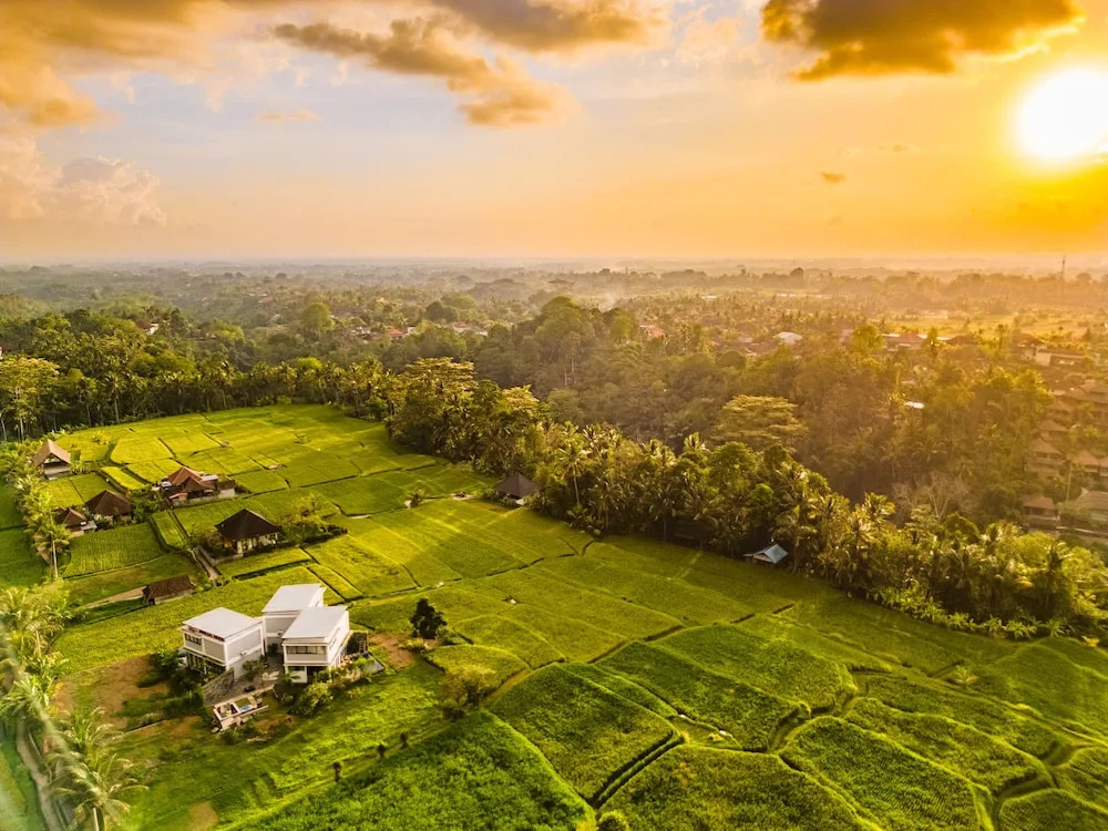 Maple Ridge Ubud Villas with Rice Field View