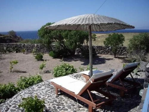 Ecoxenia